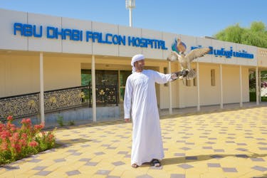 Экскурсия по соколиному госпиталю Абу-Даби